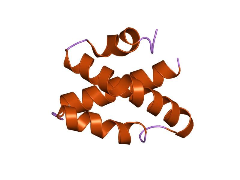 File:PDB 2gtg EBI.jpg