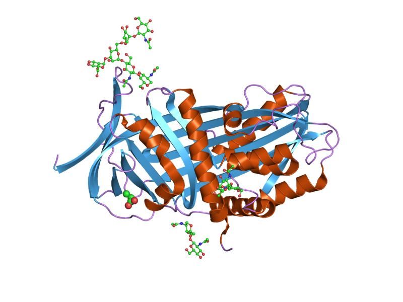 File:PDB 8api EBI.jpg