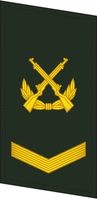 File:PLAGF-Collar-0704-SGT.png