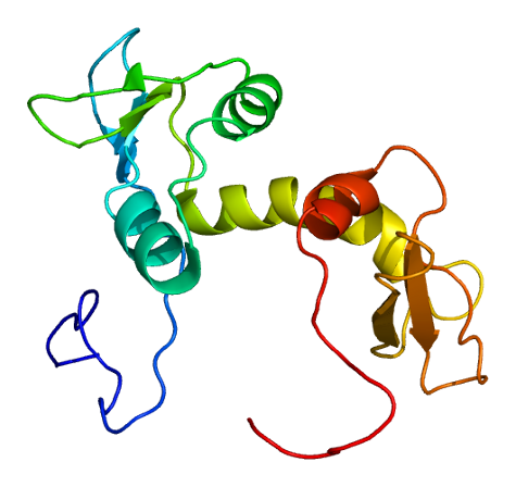 File:Protein EIF5 PDB 2g2k.png