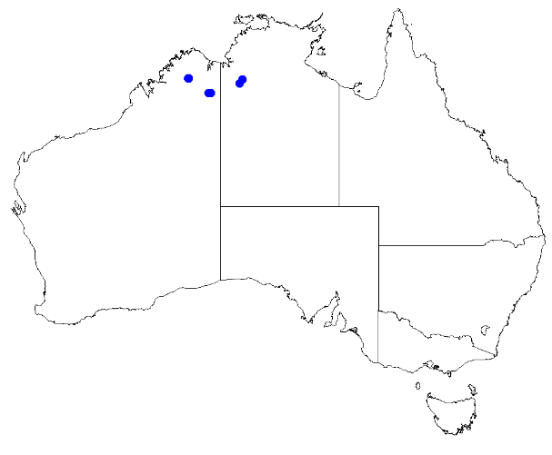 File:Boronia jucunda DistMap65.png