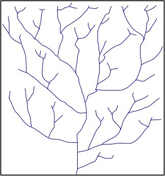 File:Dendritic.png