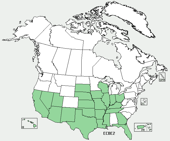 File:Echinodorus berteroi range map.png