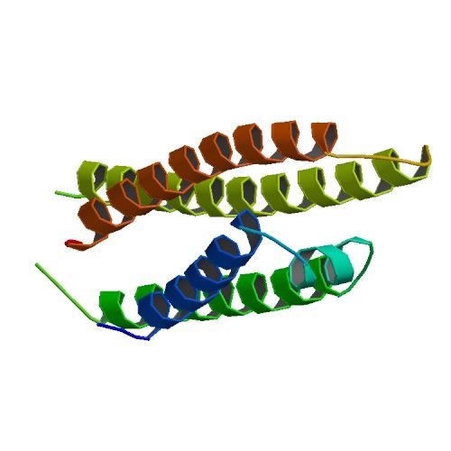 File:PBB Protein APOE.jpg