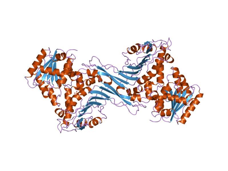 File:PDB 1dpg EBI.jpg