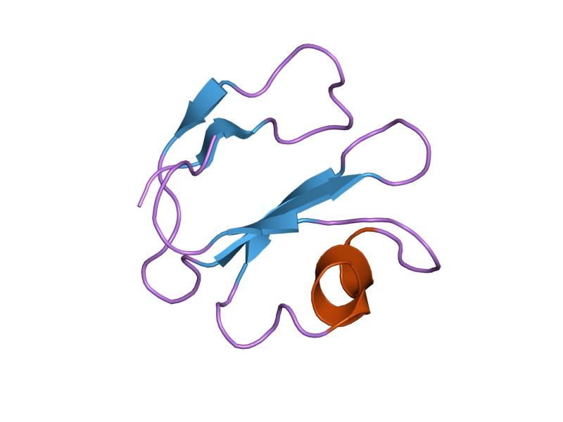 File:PDB 1erg EBI.jpg