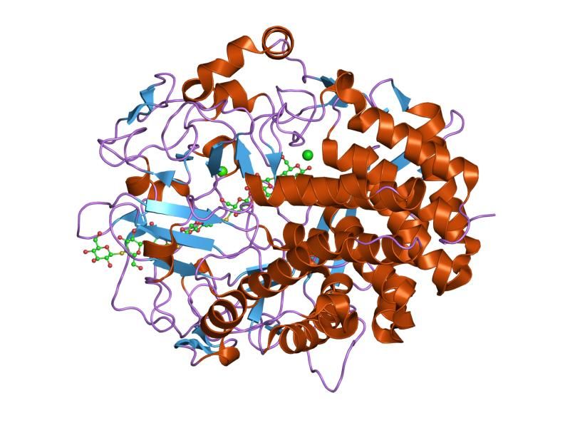 File:PDB 1g9j EBI.jpg