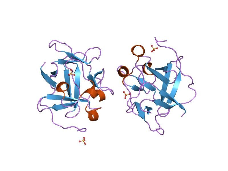 File:PDB 1jt5 EBI.jpg