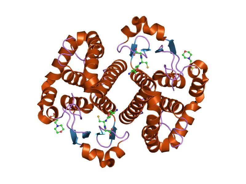 File:PDB 1px6 EBI.jpg