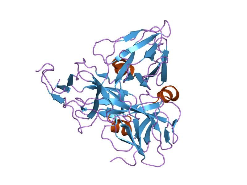 File:PDB 1q5u EBI.jpg