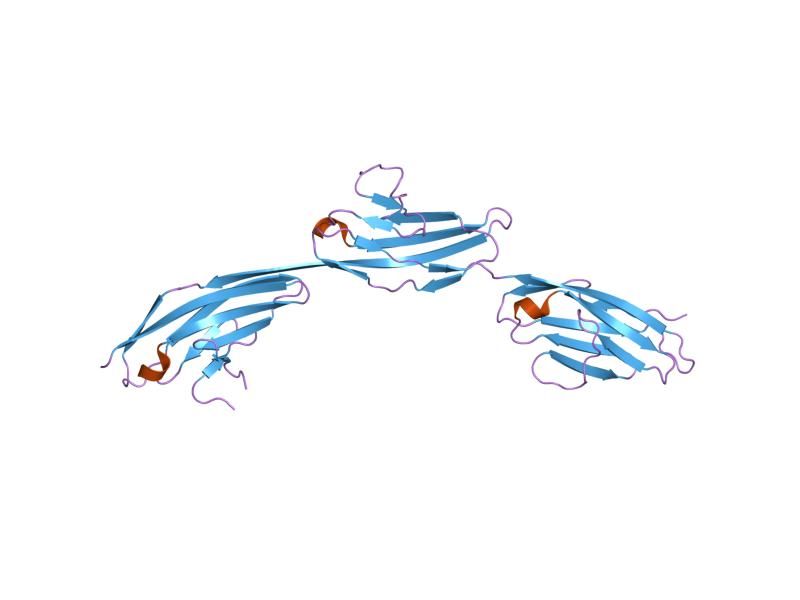 File:PDB 1qz1 EBI.jpg