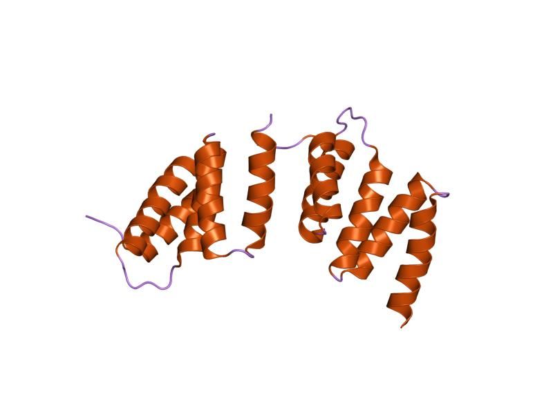 File:PDB 1tjc EBI.jpg