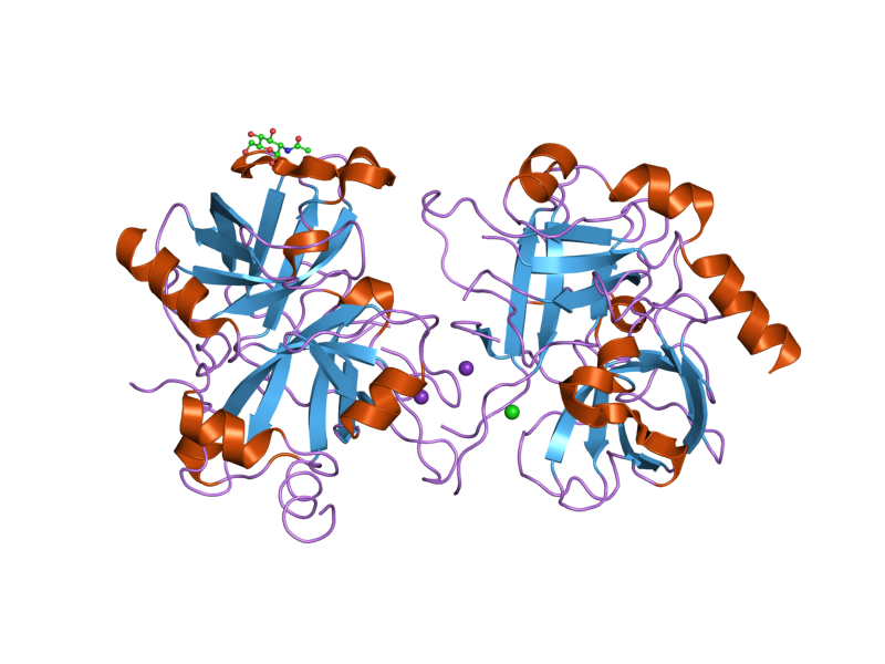 File:PDB 2a0q EBI.png