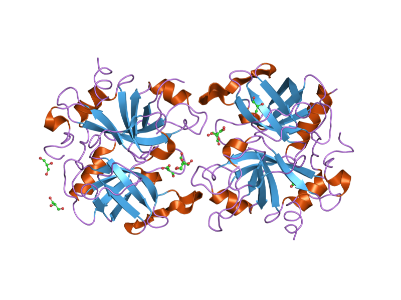 File:PDB 2afq EBI.png