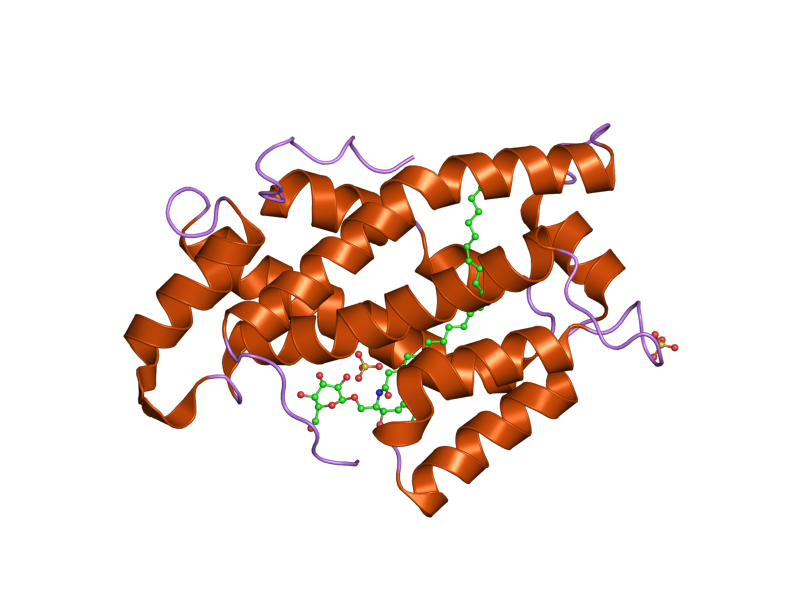 File:PDB 2bv7 EBI.png