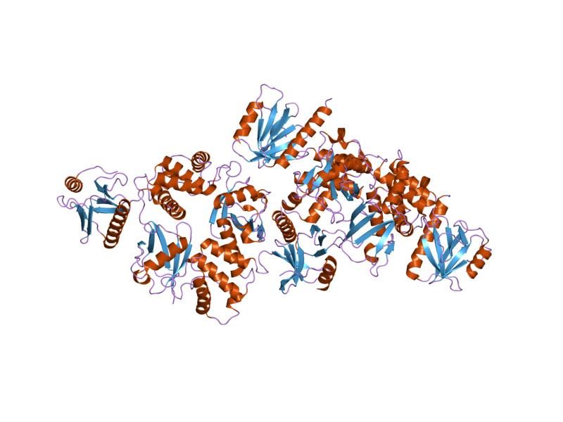 File:PDB 2d11 EBI.jpg