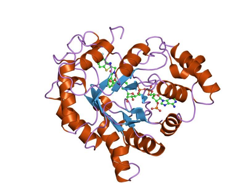 File:PDB 2fz8 EBI.jpg