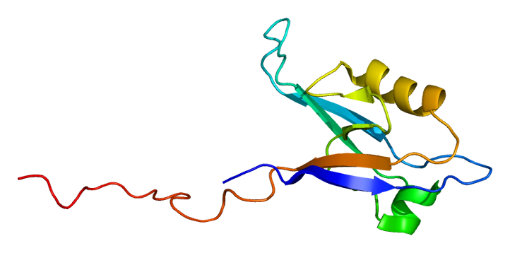 File:Protein PPP1R9B PDB 2g5m.png