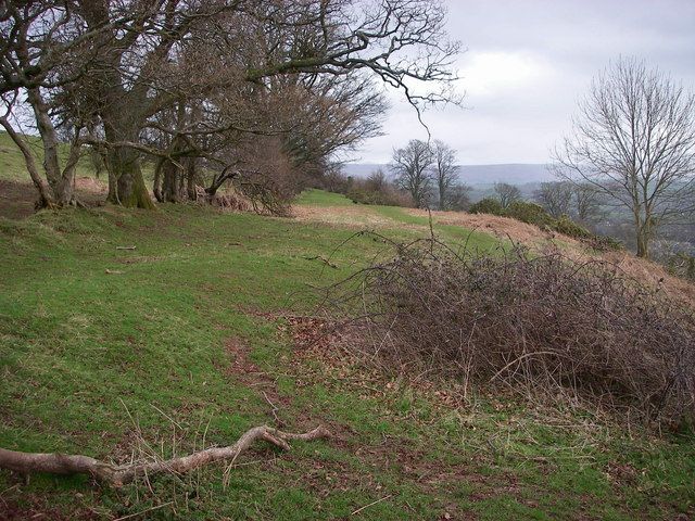 File:Slwch Tump - geograph.org.uk - 344523.jpg