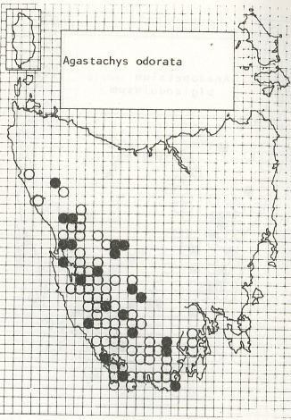 File:Agastachys odorata distribution.png