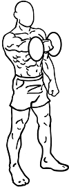 File:Dumbbell-front-raises-1-30percent.png