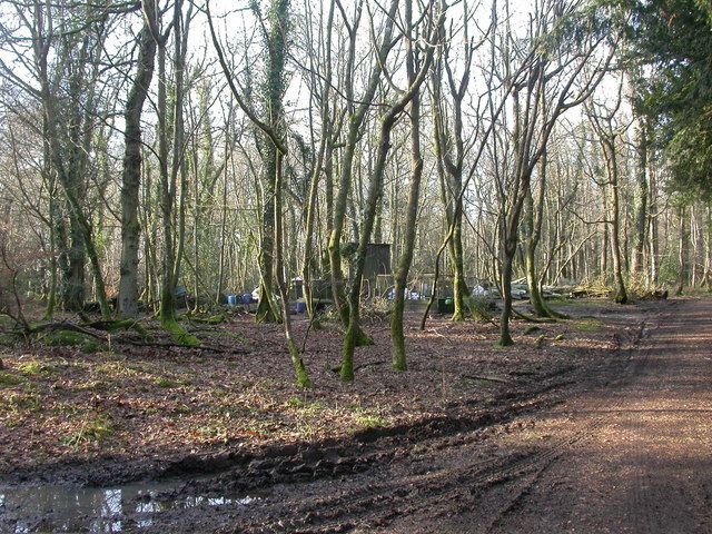 File:High Wood, store (geograph 1676451).jpg