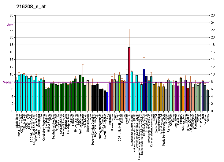 File:PBB GE CREBL1 216208 s at fs.png