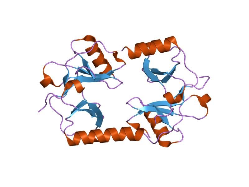 File:PDB 1f2l EBI.jpg