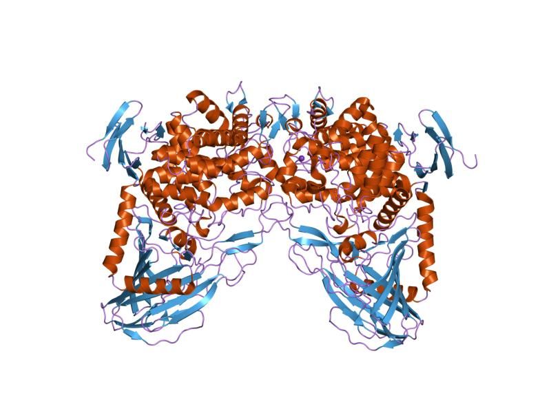 File:PDB 1h54 EBI.jpg