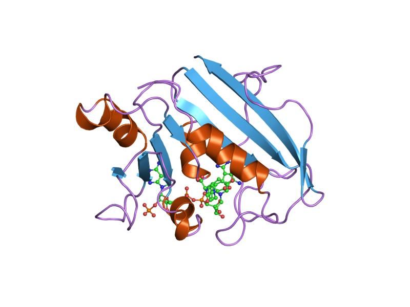 File:PDB 1hfp EBI.jpg