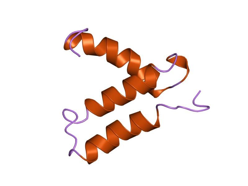 File:PDB 1hp8 EBI.jpg