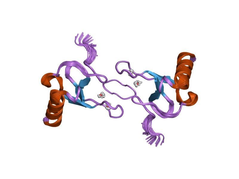 File:PDB 1hun EBI.jpg