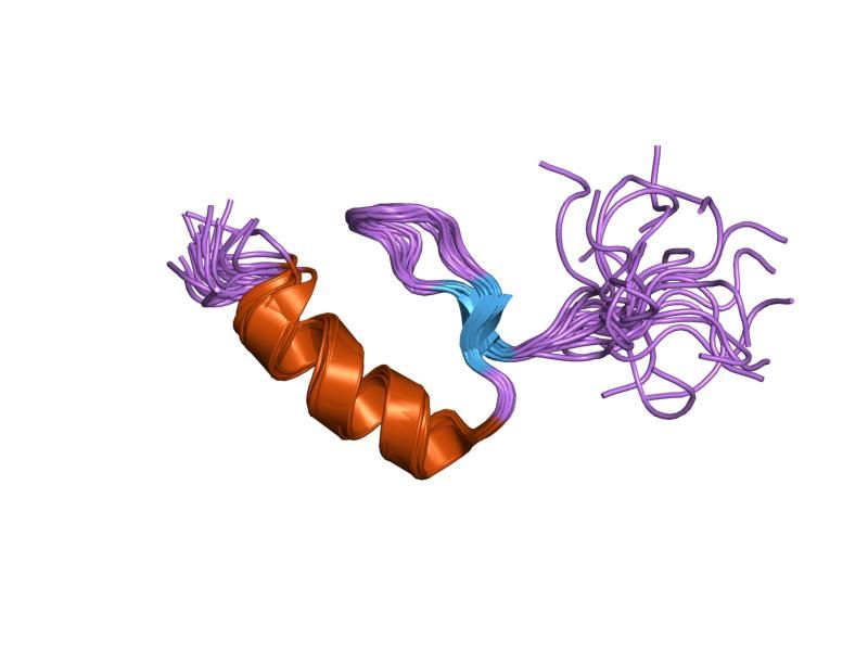 File:PDB 1m36 EBI.jpg