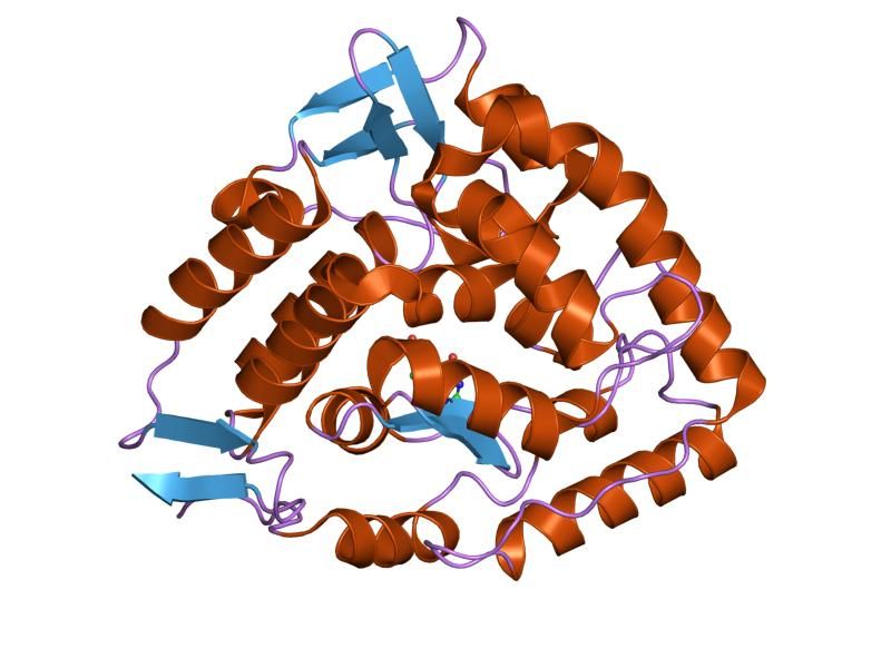 File:PDB 1tg2 EBI.jpg