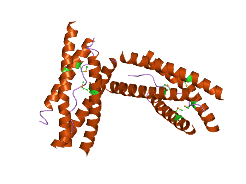 File:PDB 1vzj EBI.png