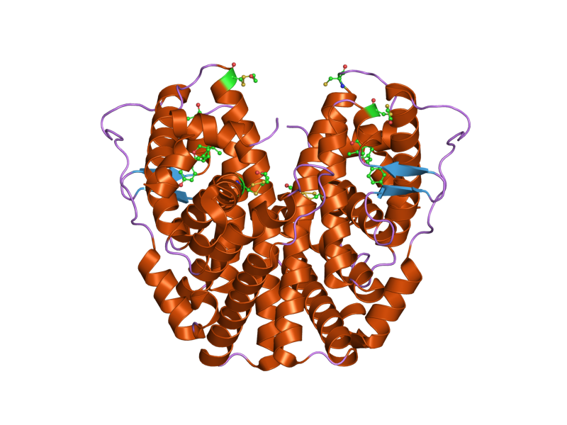 File:PDB 1zky EBI.png