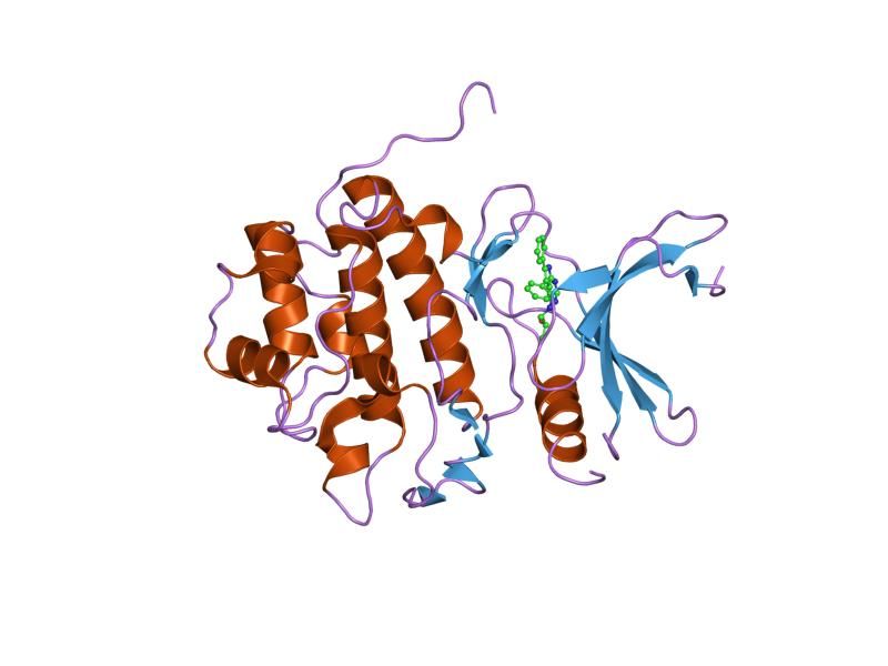 File:PDB 2brn EBI.jpg