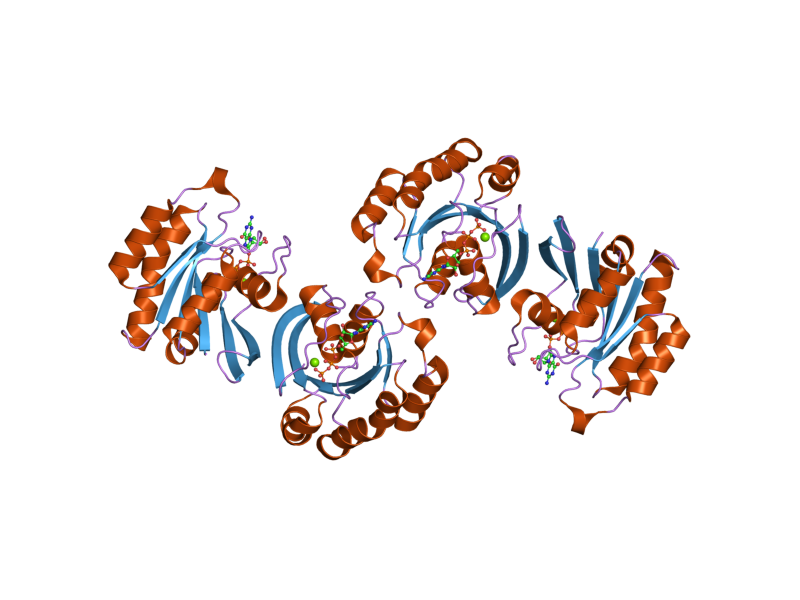 File:PDB 2gil EBI.png