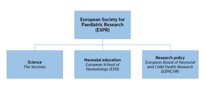 File:The three pillars of the ESPR..png