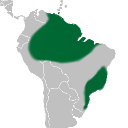 File:Bifrenaria distribution map.png