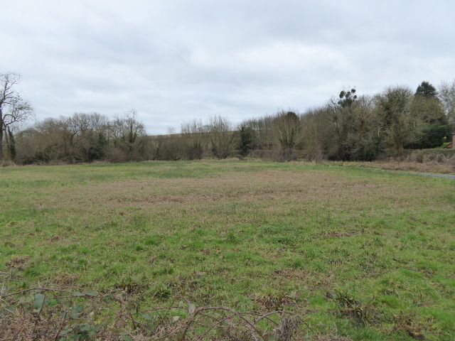 File:Easton Farm Meadow (2).jpg