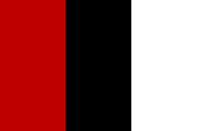 File:Flag of Qaumi Watan Party.png