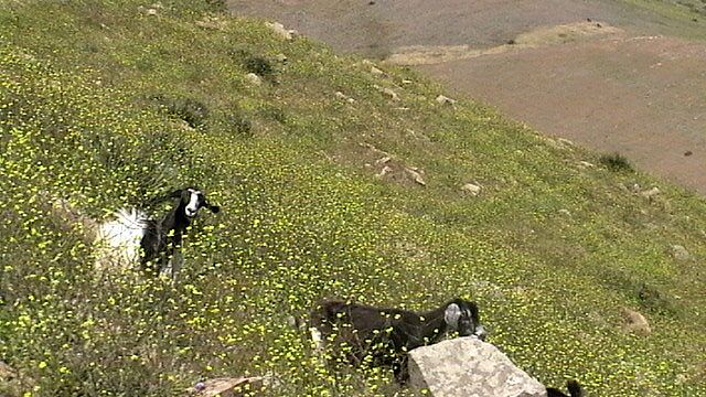 File:Gades ezès snés Djebel Xheder.jpg