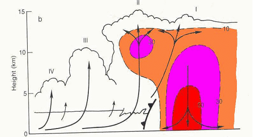 File:Orage-multicellulaire.png