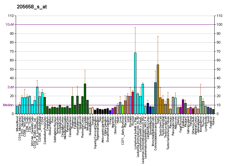 File:PBB GE SNAPC4 205658 s at fs.png