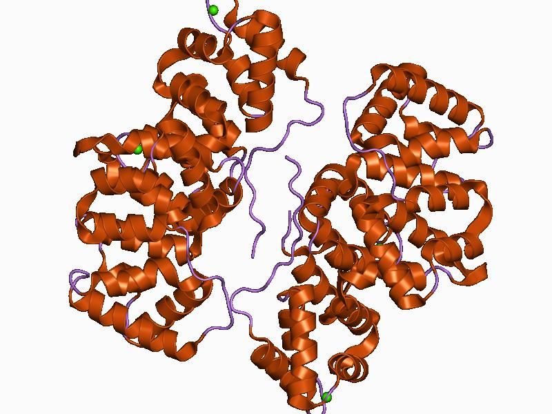 File:PDB 1anw EBI.jpg