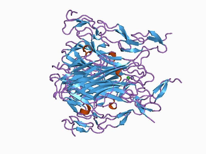 File:PDB 1d0g EBI.jpg