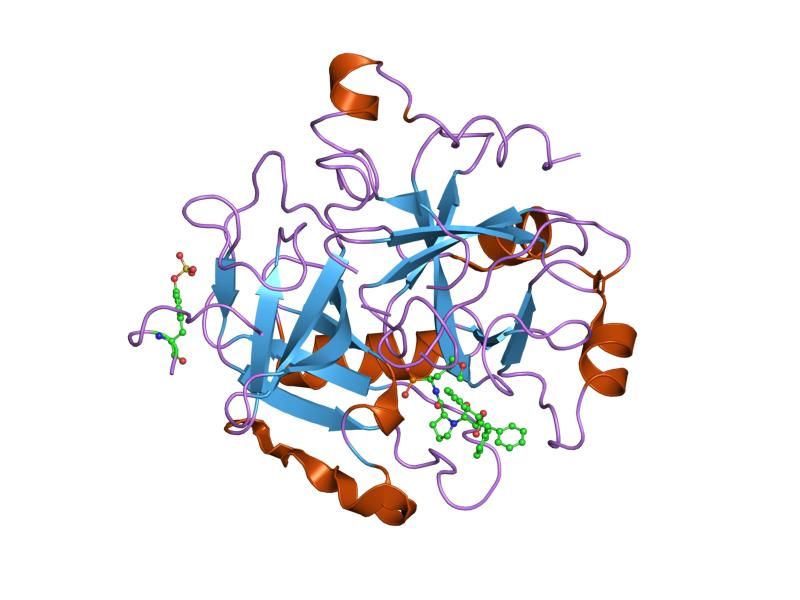 File:PDB 1h8i EBI.jpg