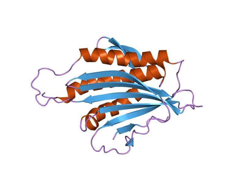 File:PDB 1klq EBI.jpg