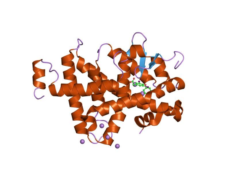 File:PDB 1nq0 EBI.jpg